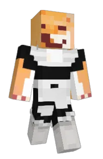 Front of Ioaff's skin