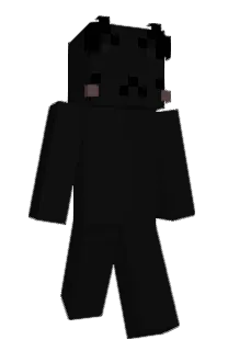Front of 9411's skin