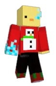 Woytix_duck