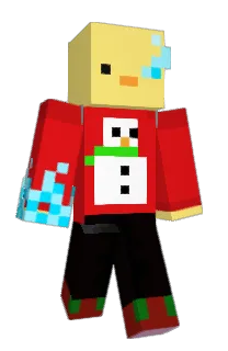 Front of Woytix_duck's skin