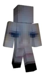 Minecraft skin — Classic model