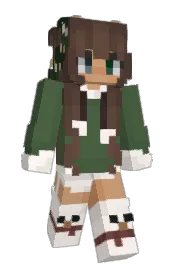 Skin preview