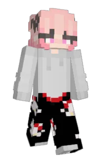ScoopsAhoyJin's Minecraft skin