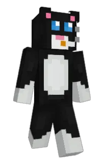 Front of Dan's skin