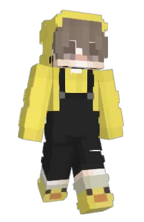 Front of fonteconfia's skin
