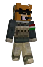 Skin preview