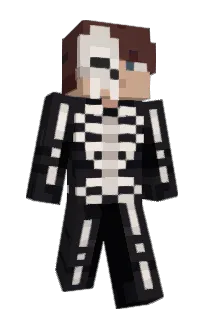 Front of Gavsteer's skin