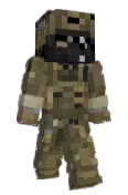 Brarius