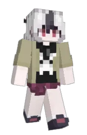 Skin preview