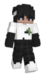 t0m3k11's Minecraft skin wearing the Pan cape