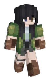 Skin preview