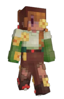 Front of noctikoree's skin