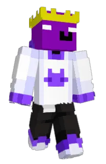 Front of Sajdeczek's skin