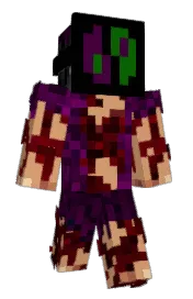 Skin preview