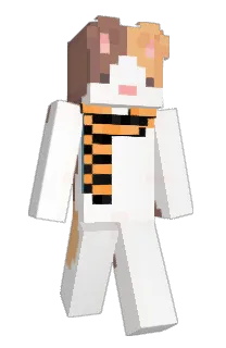 Zipppppp's Minecraft skin