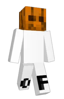 Front of BroHinne's skin