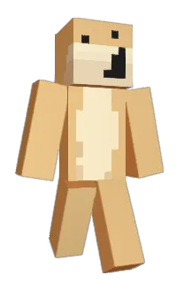 Front of Bingleton's skin