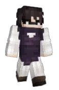 HizashiBee