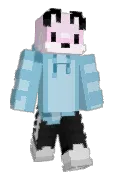 patchest_kot