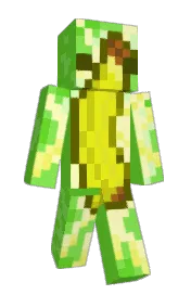 Skin preview
