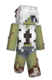 Skin preview