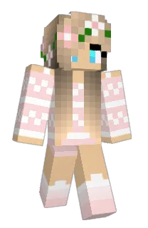 Front of TigerQ02's skin