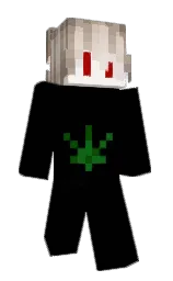 Slim Minecraft skin