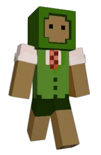 Front of lucassette's skin