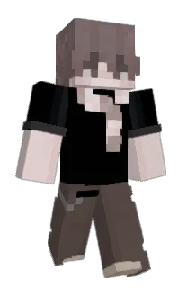 Front of Dragonplane's skin