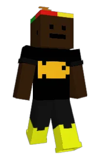 Front of p4p3rt0w3l's skin