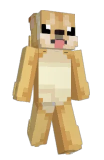 Front of 360's skin