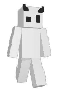 Front of xPAROO's skin