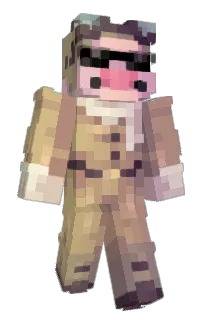 Front of Hoanhaim's skin