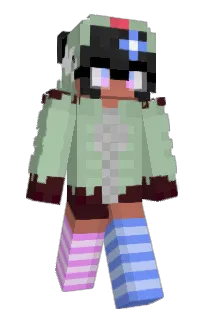 Front of antonymph's skin