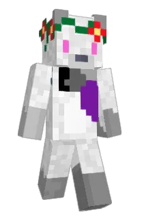 Front of Robthewischmop's skin