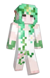 Skin preview