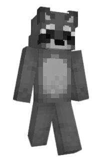 Front of RyRaccoon's skin