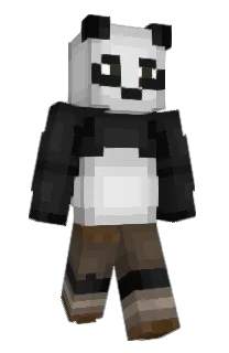 Front of koalansh's skin