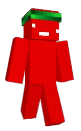Classic Minecraft skin