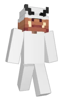Front of Flowtives's skin