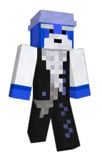Front of Phsykey's skin