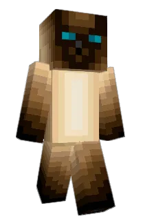 Front of Quinniboi10's skin