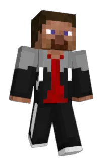 Front of EDIUS's skin