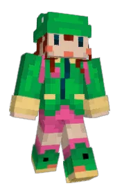 Skin preview
