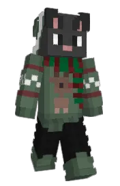 Skin preview