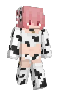 Front of Nanofull's skin