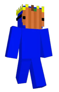 Front of Laiyz's skin