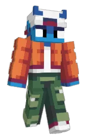 Skin preview