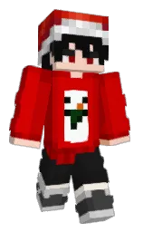 Minecraft skin — Classic model