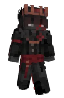 Front of DumbIsDumb's skin